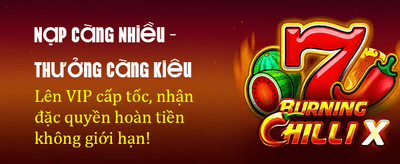 33wi - Đỉnh Cao Giải Trí